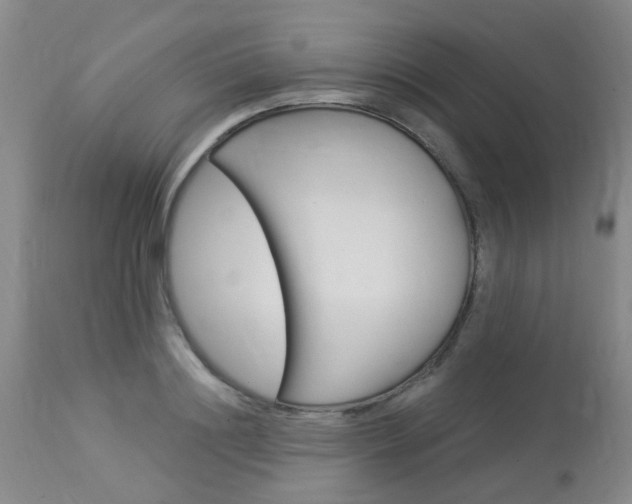 X0000114020844200910021014