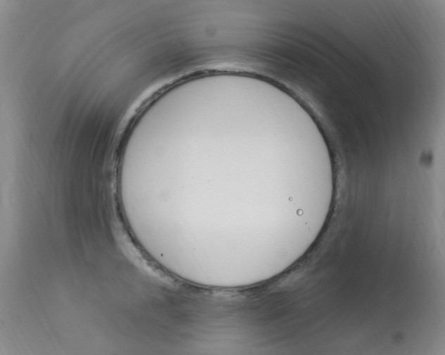 X0000114020848200910021015