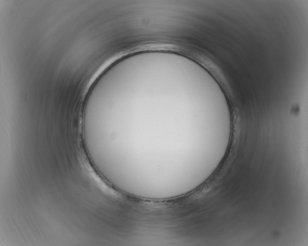 X0000114020852200910021015