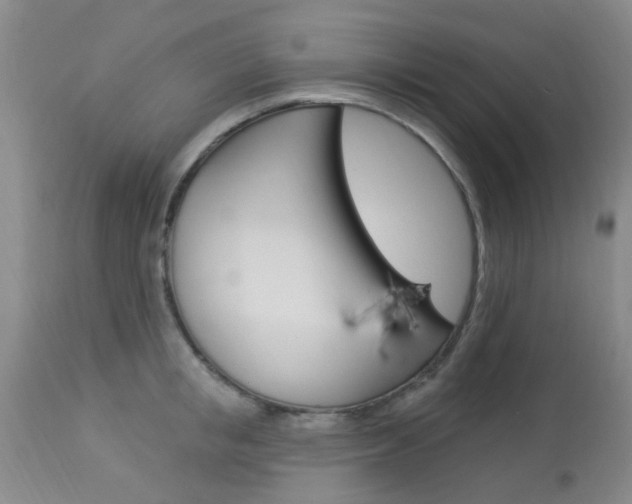 X0000114020853200910021015