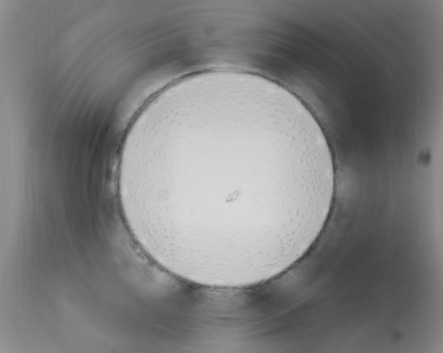X0000114020856200910021015