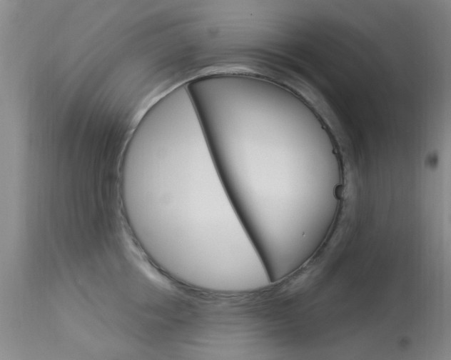 X0000114020858200910021015