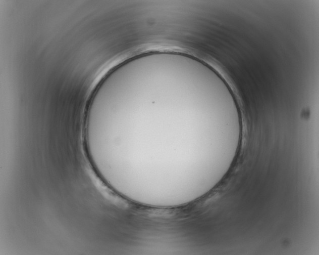 X0000114020861200910021015