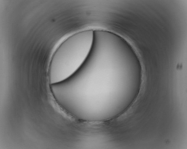 X0000114020864200910021015