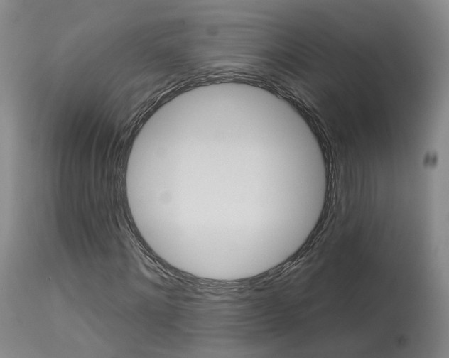 X0000114020868200910021014