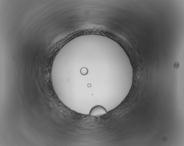 X0000114020869200910021014