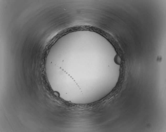 X0000114020871200910021014