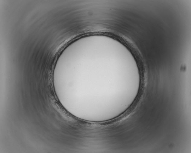 X0000114020873200910021014