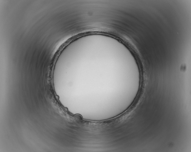 X0000114020875200910021014