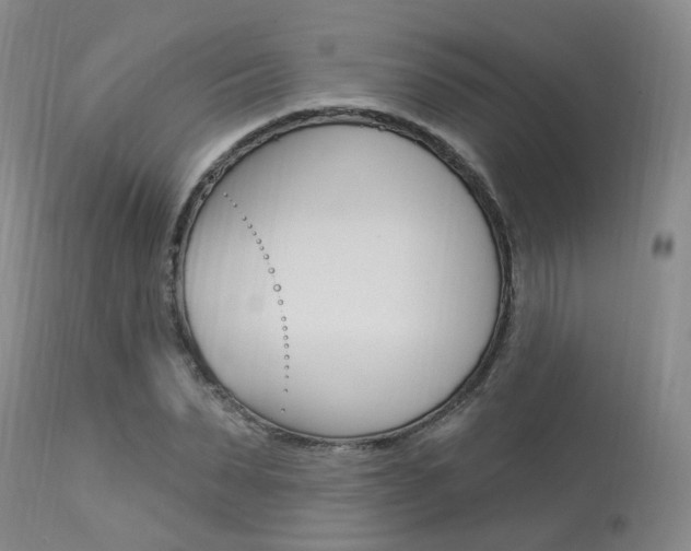 X0000114020879200910021014