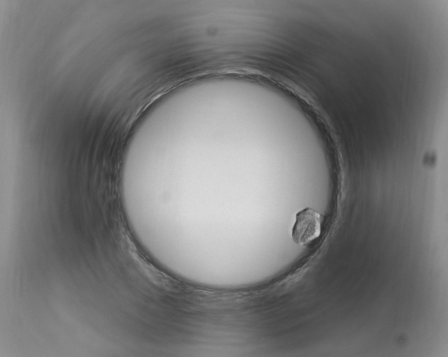 X0000114020881200910021014