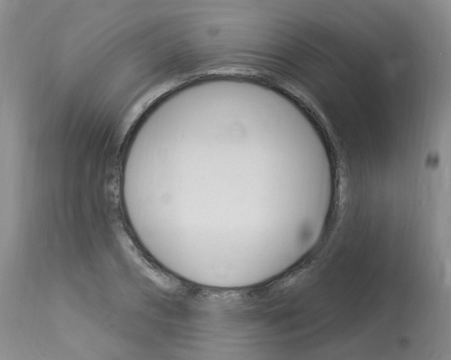 X0000114020882200910021014