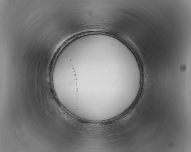 X0000114020883200910021014