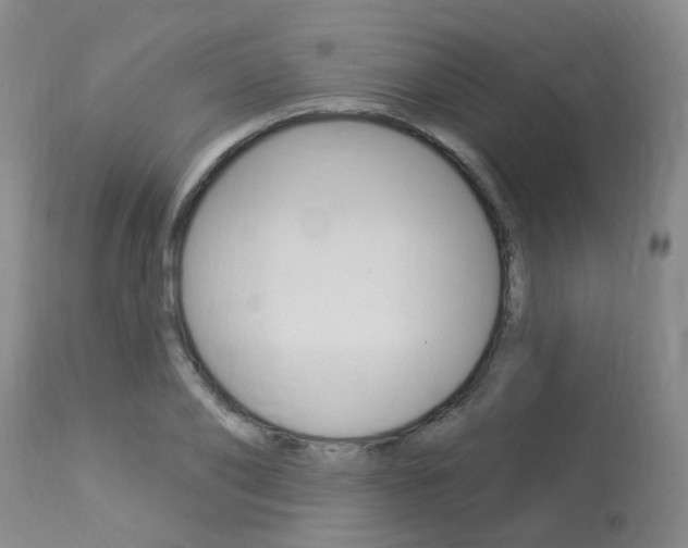 X0000114020886200910021014