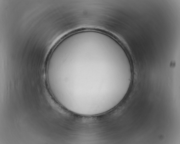 X0000114020887200910021014