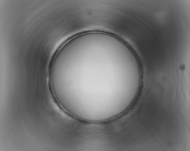 X0000114020888200910021014