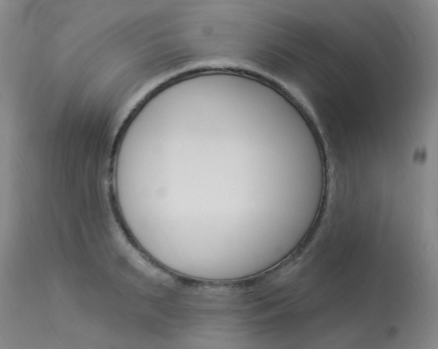 X0000114020895200910021013
