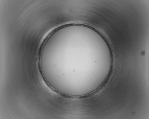 X0000114020896200910021013