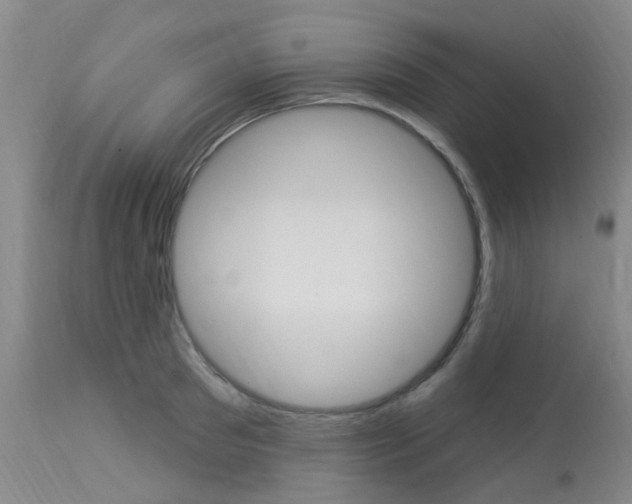 X0000114020897200910021013