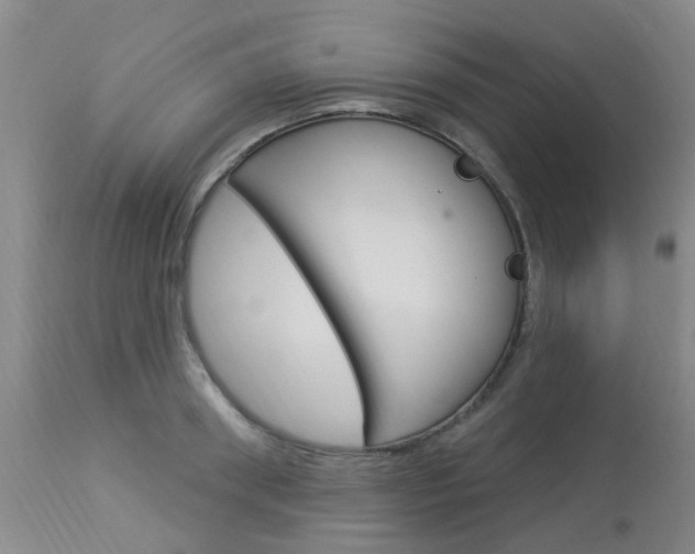X0000114020898200910021013