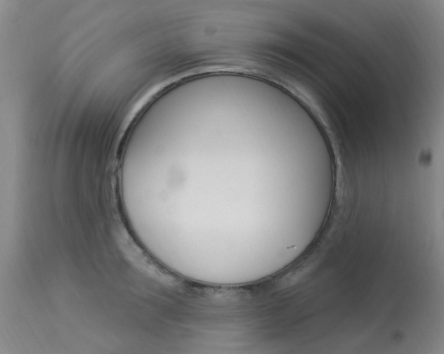 X0000114020899200910021013