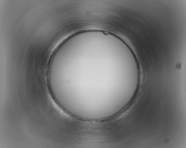 X0000114020901200910021013
