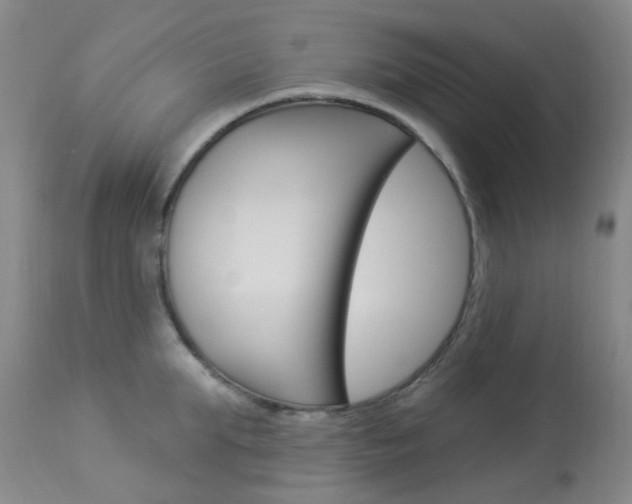 X0000114020903200910021013