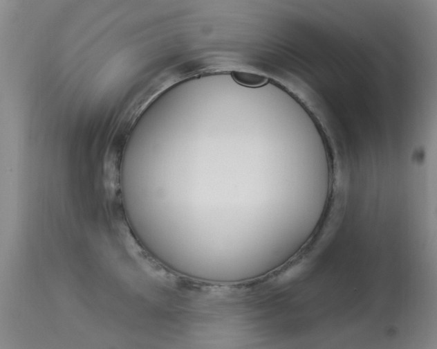 X0000114020905200910021013