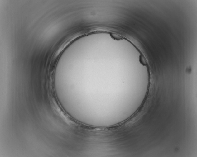 X0000114020906200910021013