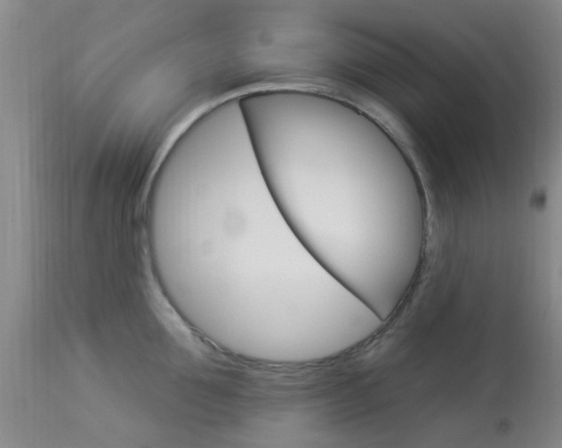 X0000114020907200910021013
