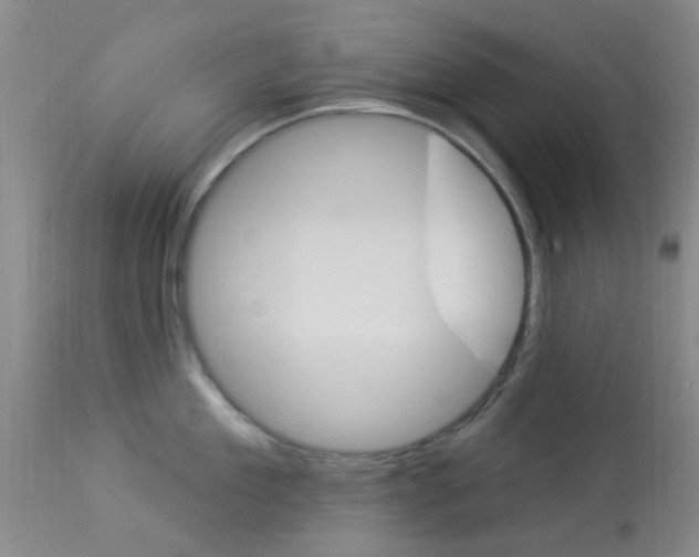 X0000114020909200910021013