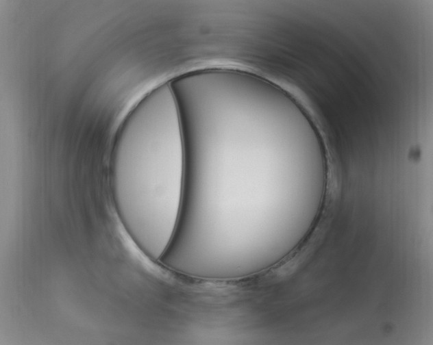 X0000114020910200910021013