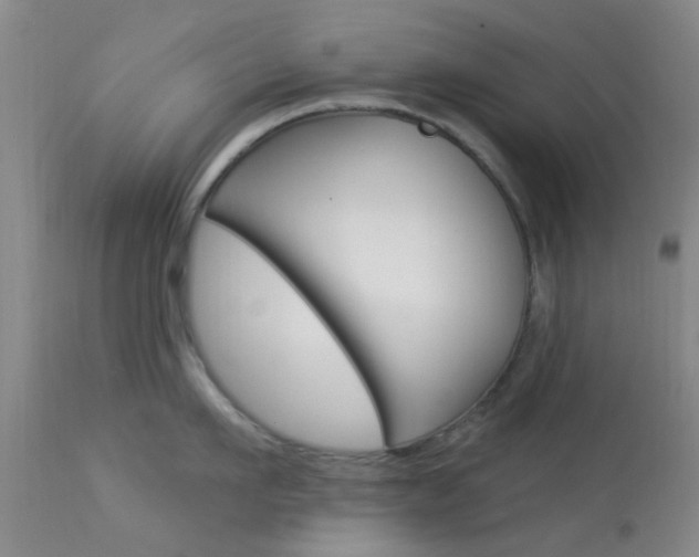 X0000114020911200910021013