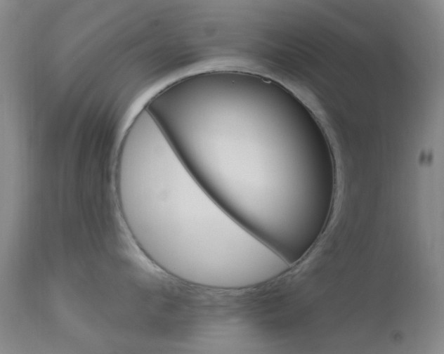 X0000114020912200910021013