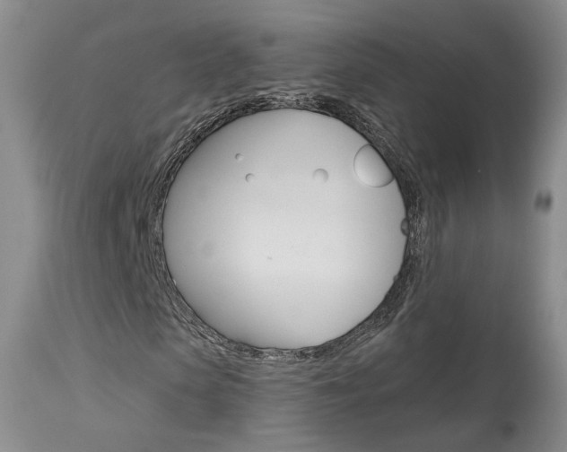 X0000114020913200910021013