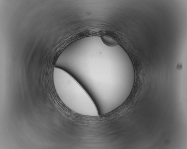 X0000114020914200910021013