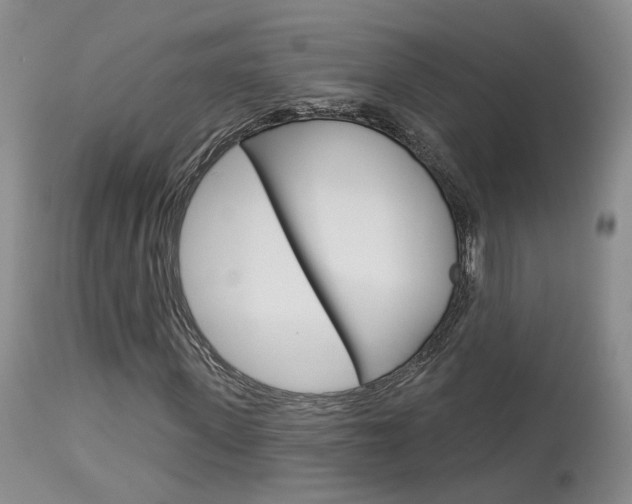 X0000114020915200910021013