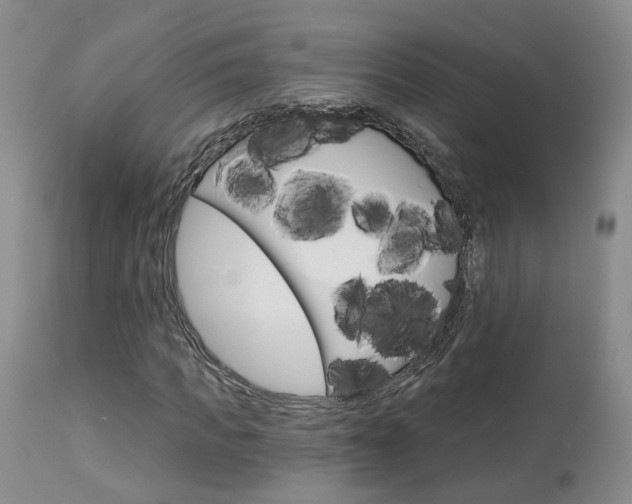 X0000114020917200910021013