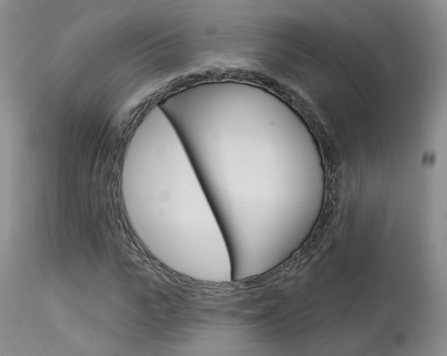 X0000114020919200910021013