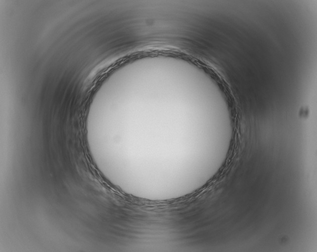 X0000114020920200910021013