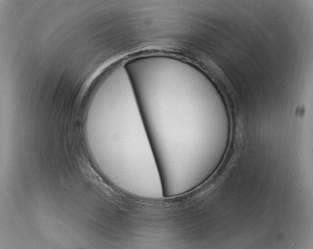 X0000114020923200910021013