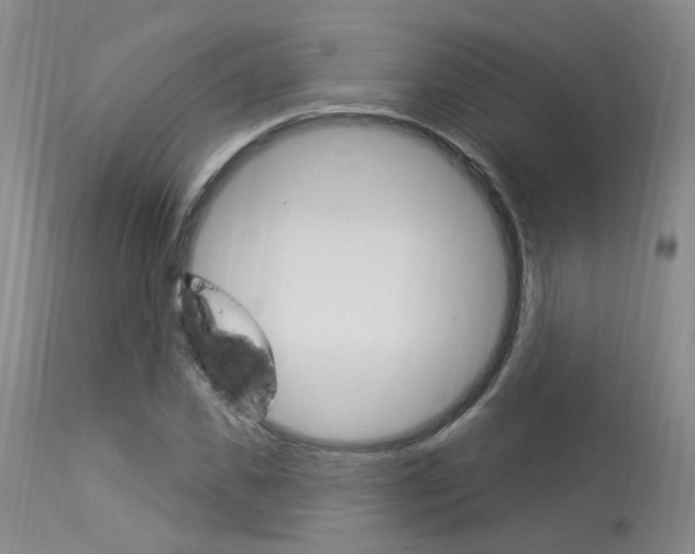 X0000114020925200910021013