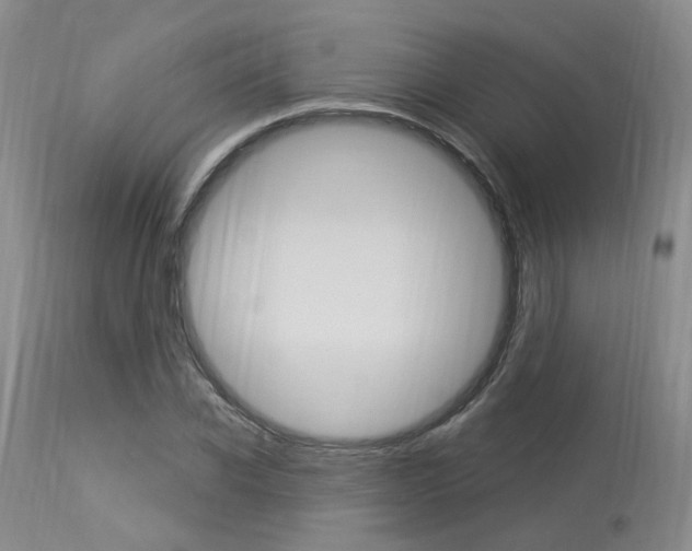 X0000114020926200910021013