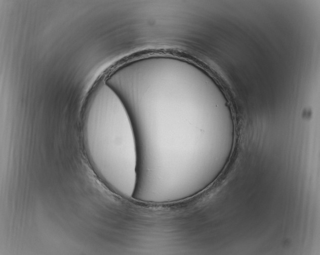 X0000114020927200910021013