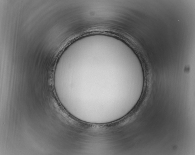 X0000114020929200910021013