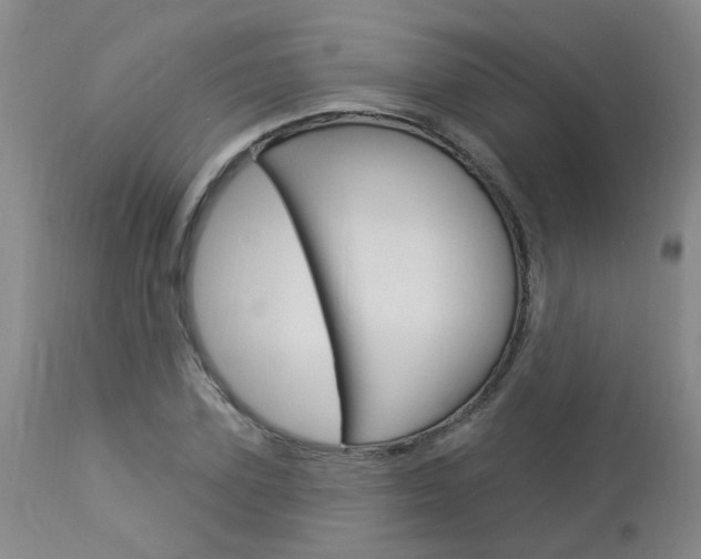 X0000114020931200910021013