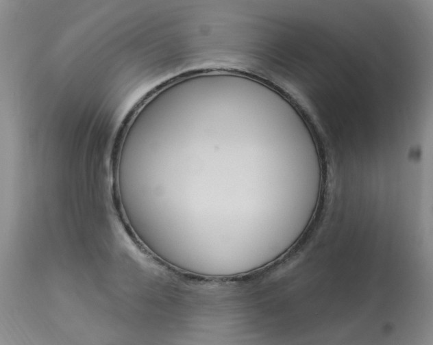 X0000114020936200910021013