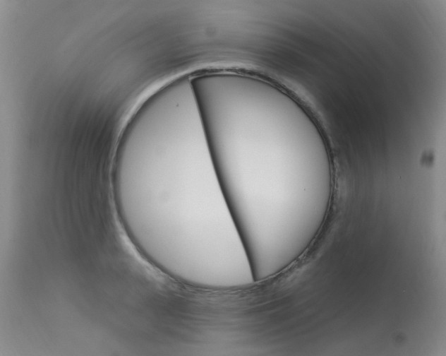 X0000114020943200910021013