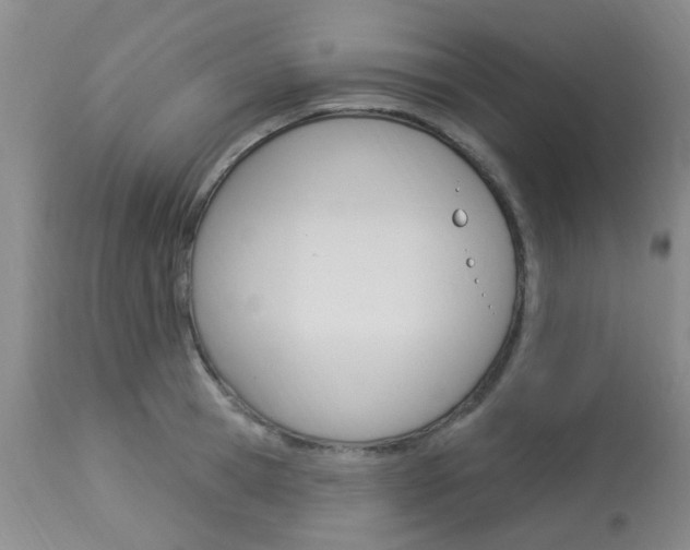 X0000114020945200910021013