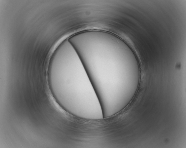 X0000114020947200910021013